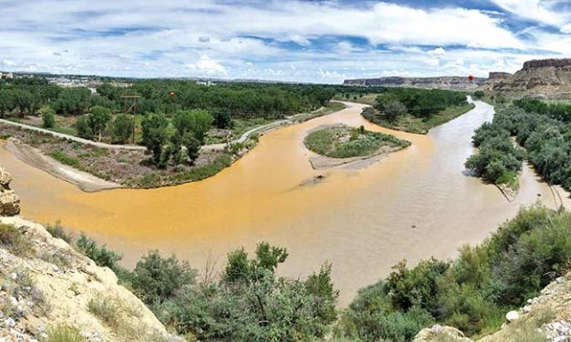 Gold King Mine wastewater contaminating the rivers once again