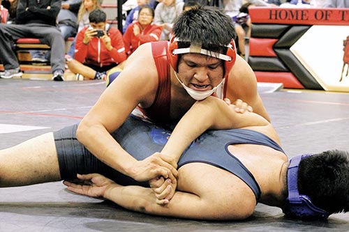 Area wrestlers prepare for state