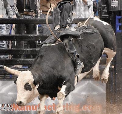 Hedeman likens Cody Jesus to Sage Kimzey