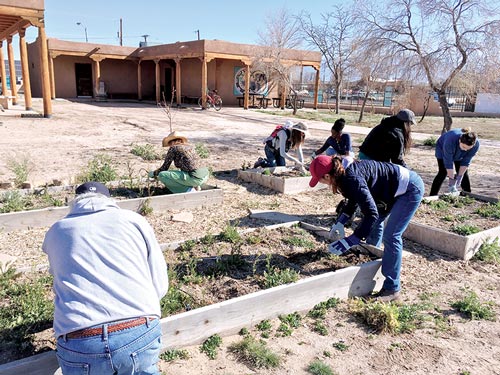 Garden at the IPCC yields more than fruits, vegetables