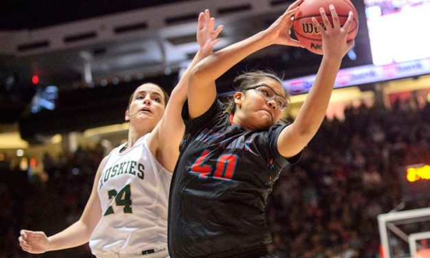 Slideshow: 2017 New Mexico State Basketball Playoffs