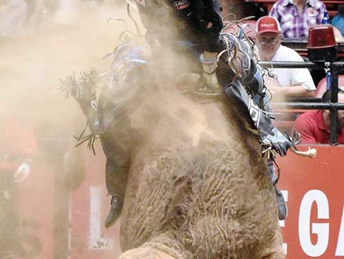 Chippewa Sioux bull rider making his mark in PBR