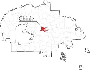 Former Chinle delegate passes