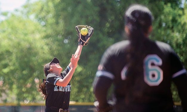 ‘Nervous’ Lady Knights fall despite proud coach