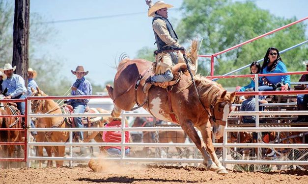 10-second penalty spoils Whitecone cowboy’s hopes for all-around