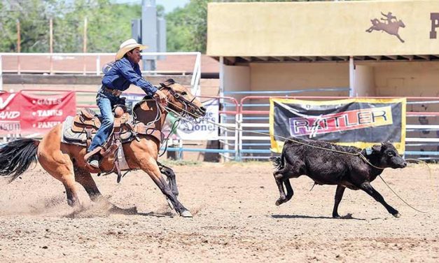 TC cowboy is reserve champion at NJHFR