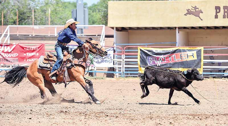 TC cowboy is reserve champion at NJHFR