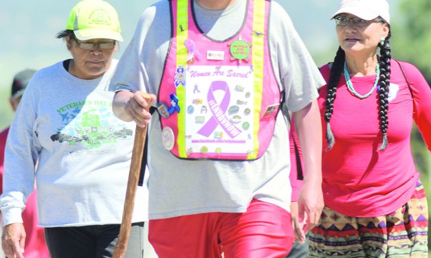 Update: 2017 Walking the Healing Path