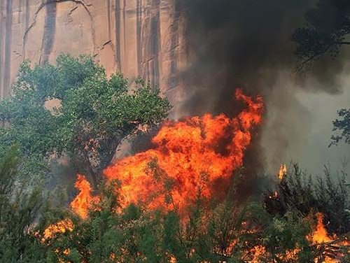 Fires popping up in spite of restrictions