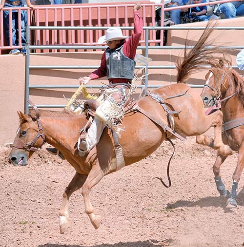 Consistency pays off for saddle bronc rider