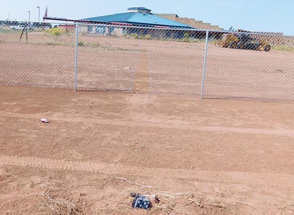 Thieves target Crystal school bus