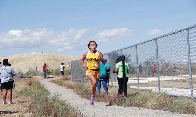 Lady Wildcat has fun winning at Shiprock