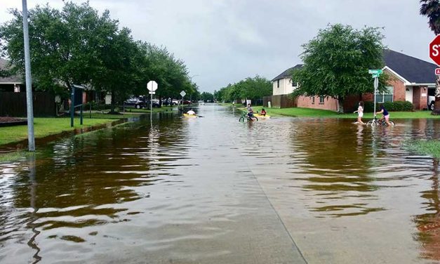 Letters: Why not pump water from southeast U.S.?
