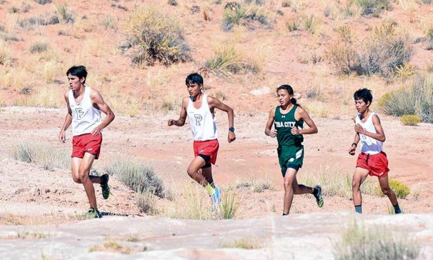 Ganado girls, Page boys take team titles