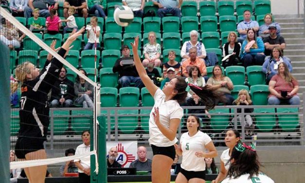 ‘More of a family’: Farmington VB ends 20-year drought