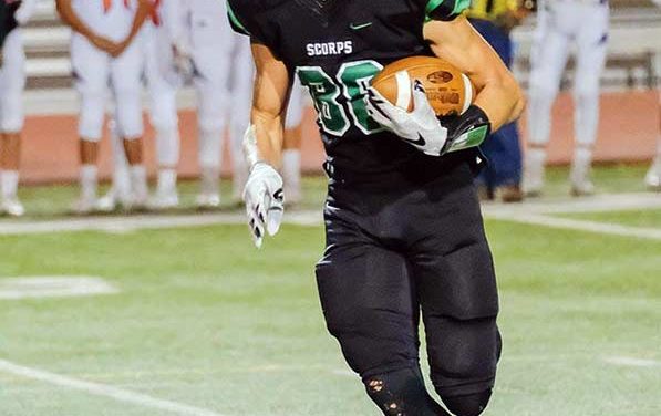 Brown enjoying ‘representing the Nation’ on Farmington team