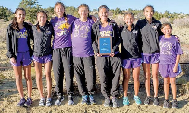 KC boys, girls successfully defend district titles