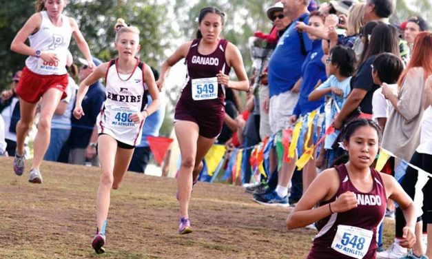 Lady Hornets carry edge to state championship