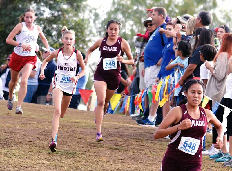 Lady Hornets carry edge to state championship