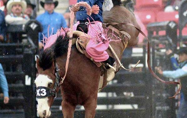 Tohono O’odham cowboy wins INFR in his debut