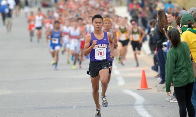KC’s Harrison matures, carries out plan for state title