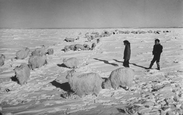 50 years ago:  Worst storm of 20th Century hits rez