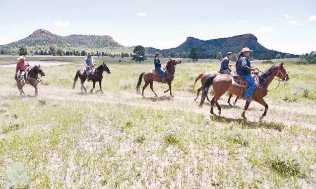 Tribes, host of groups, file suit against Trump’s action