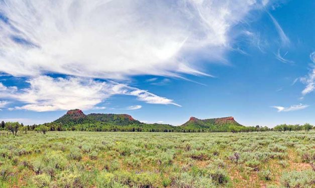 Trump drastically shrinks Bear Ears monument