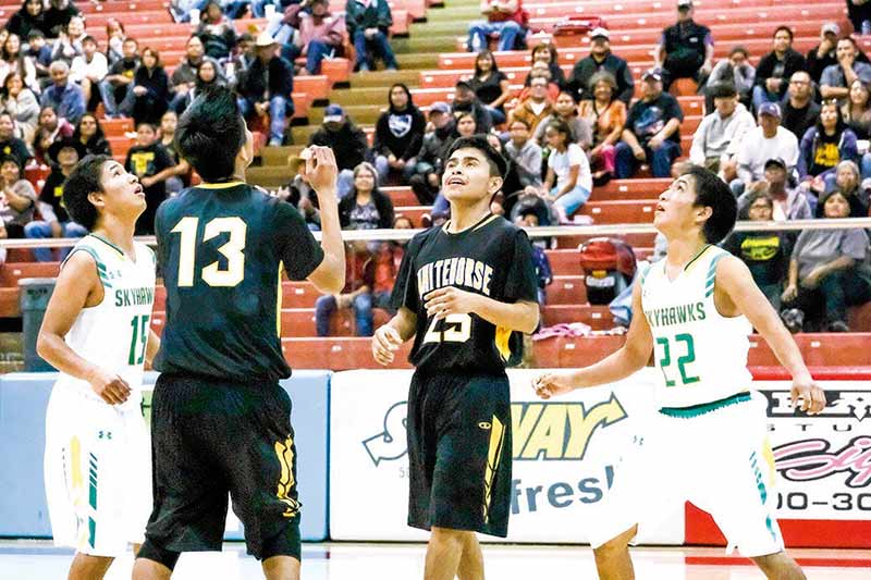 Hoops hero twins