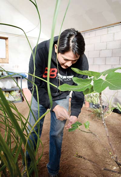Garden expert wants to create oasis in food desert