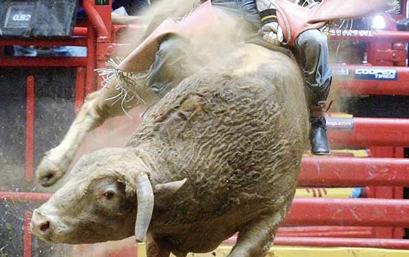 Mature Jesus rides with the best in PBR