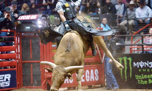Whitehorse, on 1st PBR season, seeks his destiny