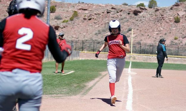 Cardinals win first-ever state playoff game