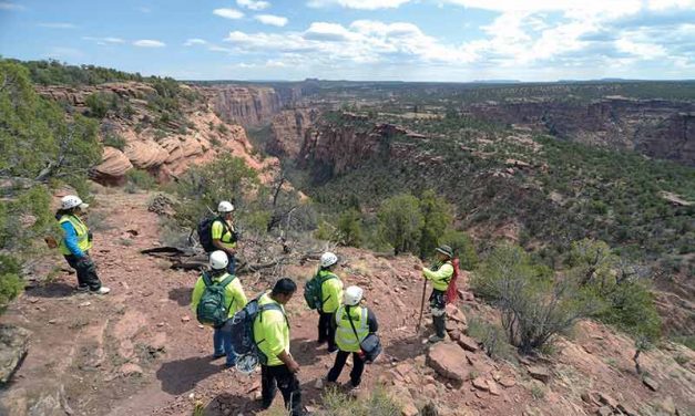 Combing the canyon