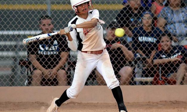 Devil Dogs repeat as D-Backs champs