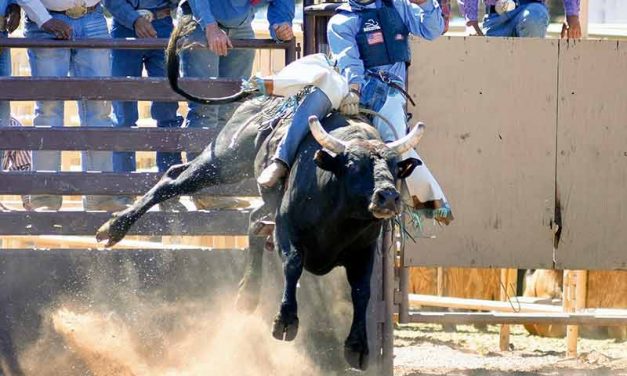 Locals fare well at Arizona high school state finals