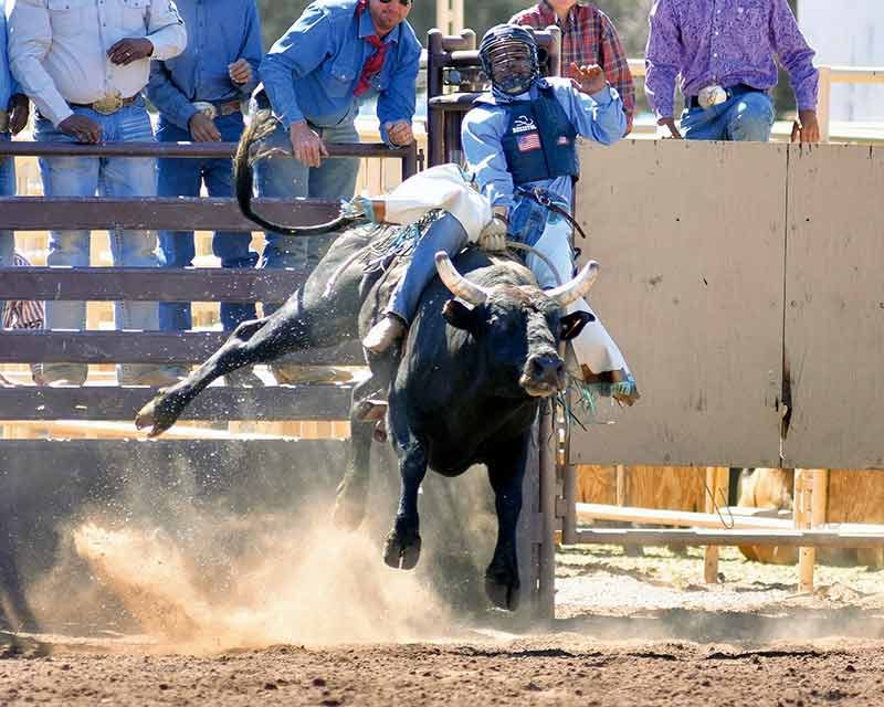 Locals fare well at Arizona high school state finals