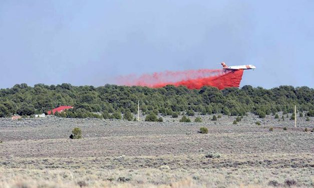 Fire breaks out near Sawmill