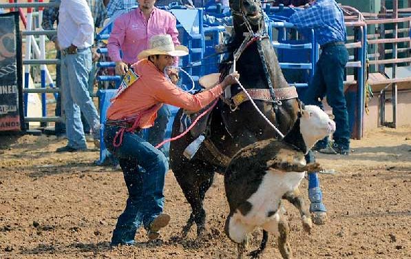 Tension run high for area cowboys during short round at Best of the Best
