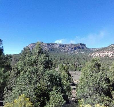 Small fire burning on Mushroom Peak