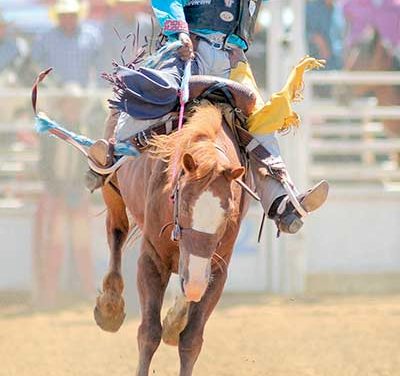 Whitecone bareback rider making a return trip to INFR