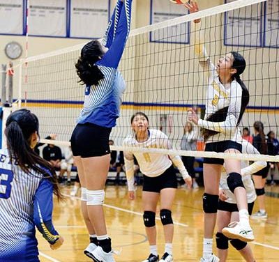 Lady Cougars win 1A North volleyball title