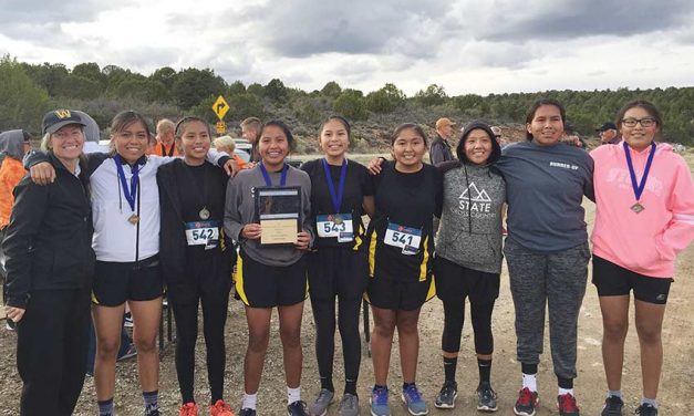 Whitehorse girls surprise with 4th-place state finish