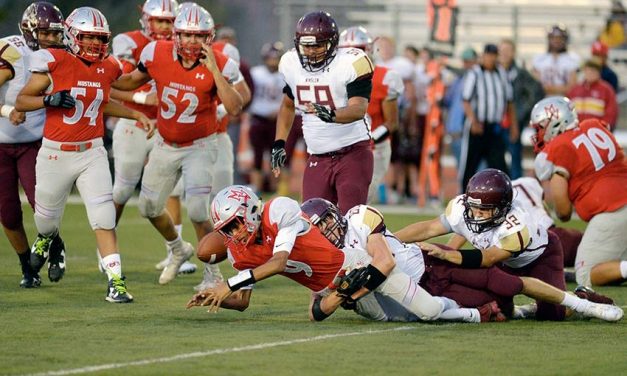 Sack king