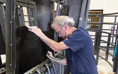 Yes, Kayenta still has a vet
