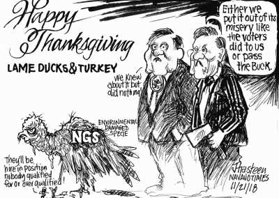 Turkey posing as NGS environmental damaged species. Council delegates remark: Either we put it out of its misery like the voters did to us, or pass the buck.