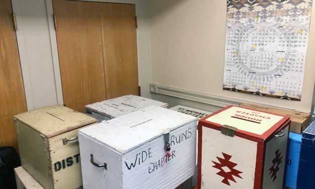 Elections Director Fired