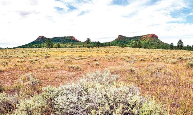 Film festival marks date of Bears Ears reduction