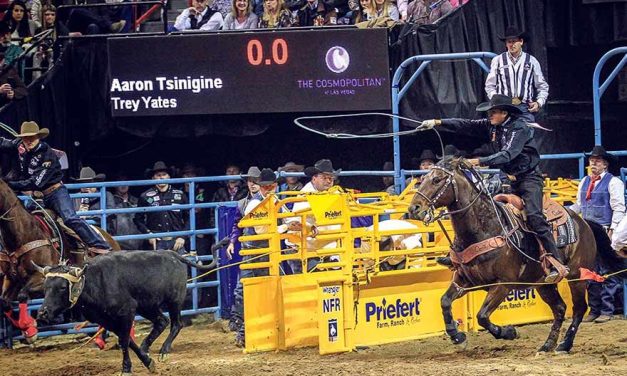 Tsinigine wins average at WNFR team roping
