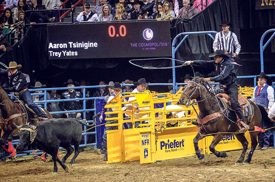 Tsinigine wins average at WNFR team roping